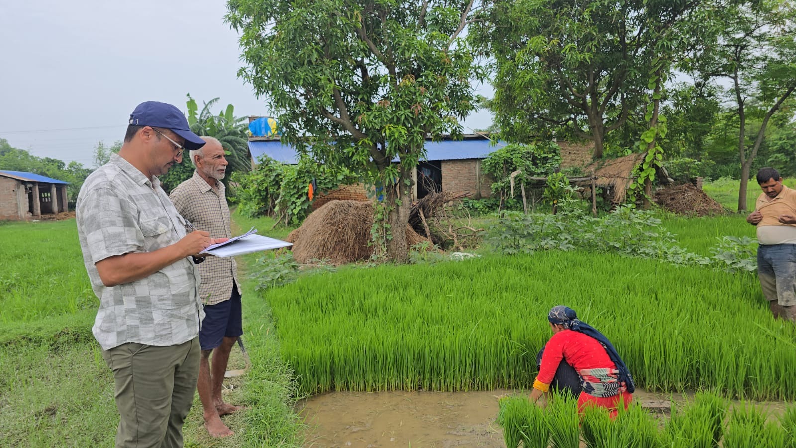 Assessment of Fiscal, Economic Loss, and Socioeconomic Impacts of Heatwaves in Lumbini Province